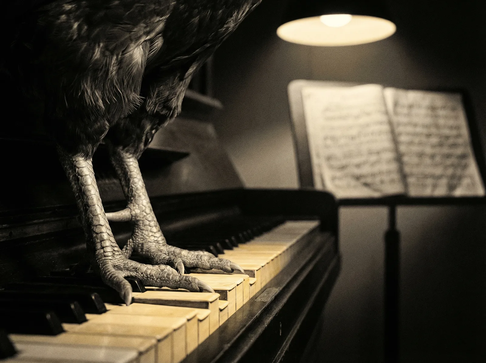 He doesn't play. He never learned. But he understands the silences between the notes.