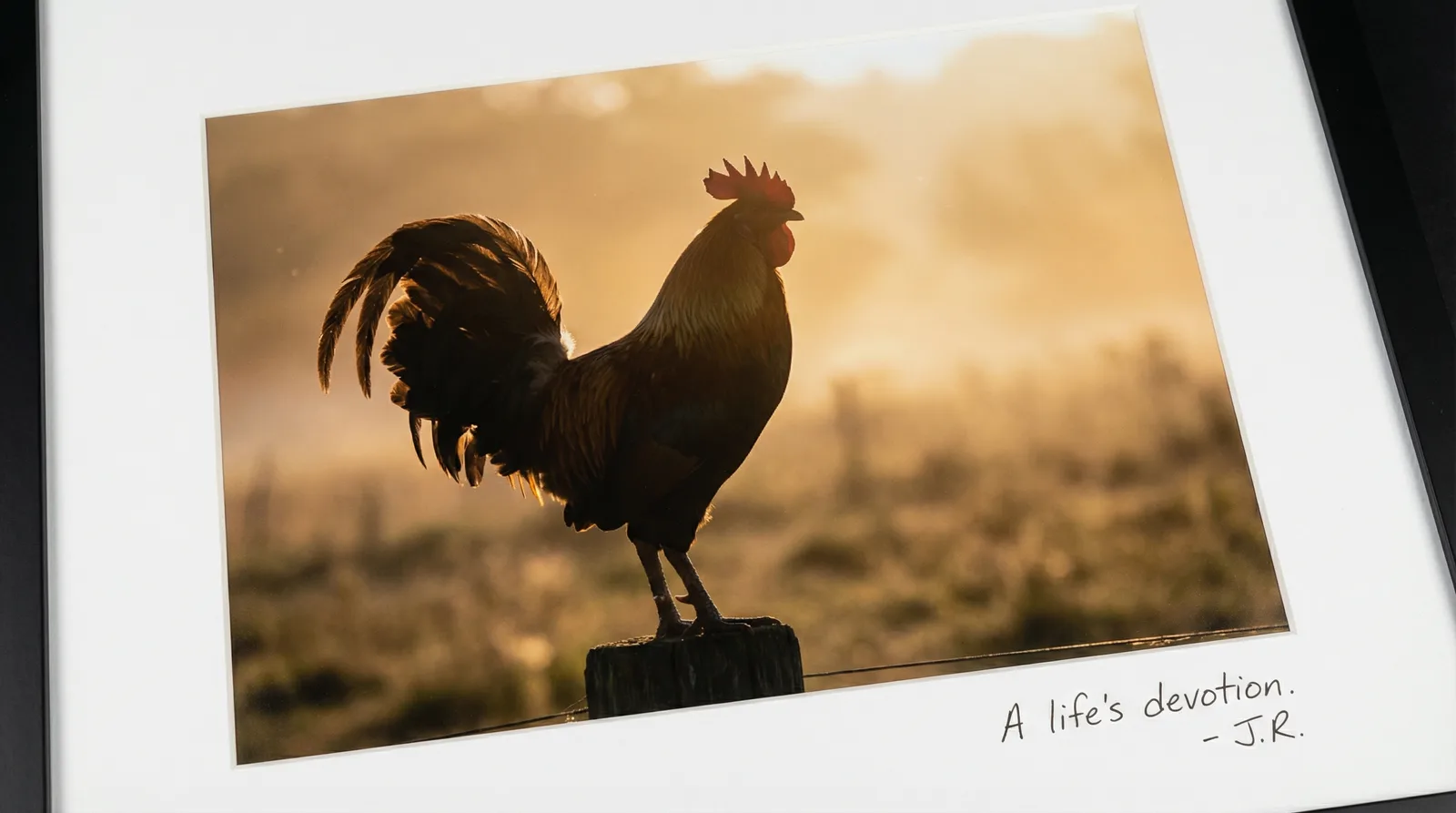 On the Singular Subject